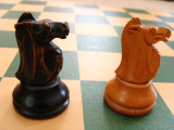 Image of a Chess Knight